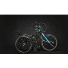 Handbike VARIO